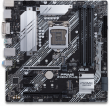 ASUS PRIME Z490M-PLUS LGA1200 Micro-ATX Motherboard
